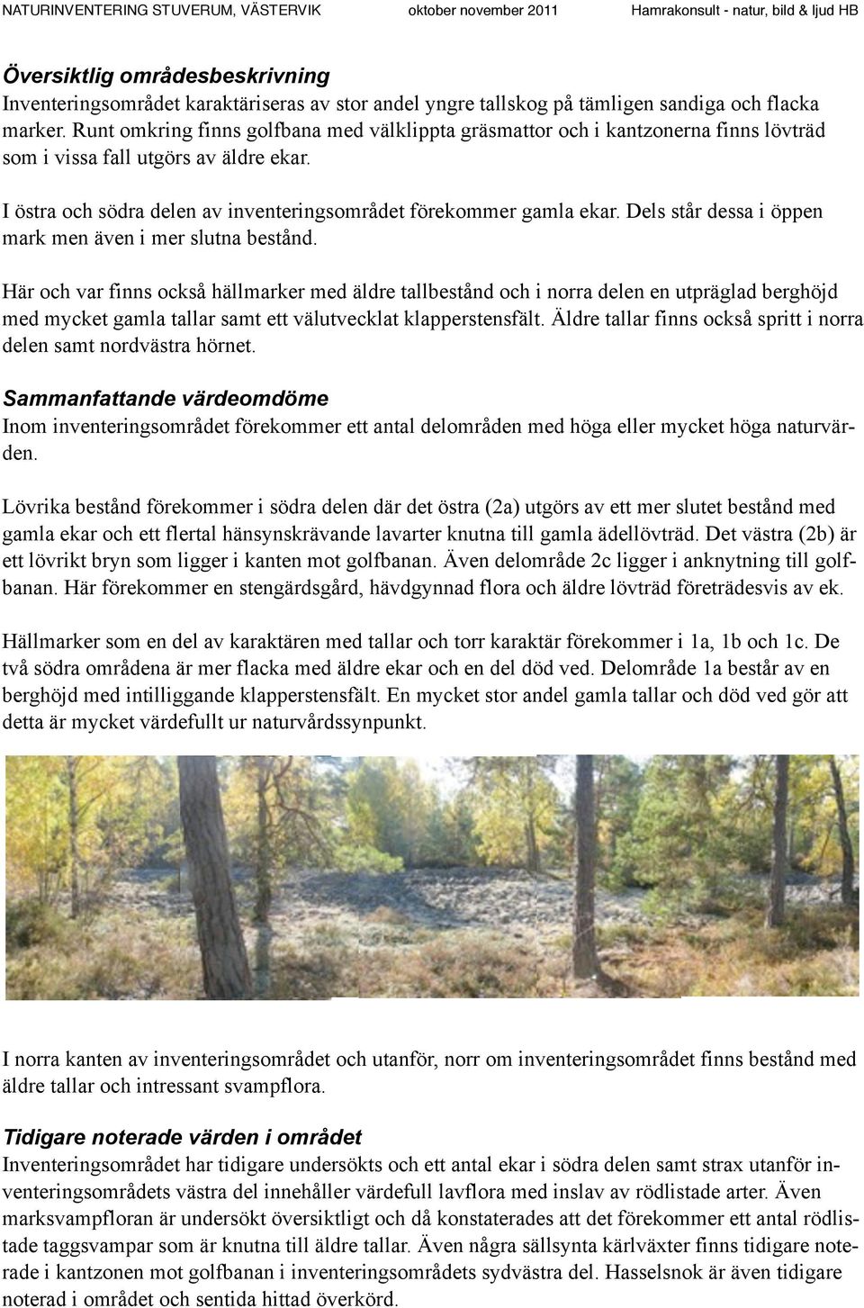 Dels står dessa i öppen mark men även i mer slutna bestånd.