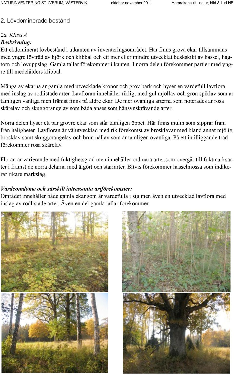 I norra delen förekommer partier med yngre till medelålders klibbal. Många av ekarna är gamla med utvecklade kronor och grov bark och hyser en värdefull lavflora med inslag av rödlistade arter.