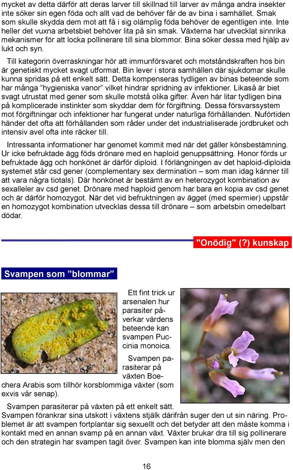 Växterna har utvecklat sinnrika mekanismer för att locka pollinerare till sina blommor. Bina söker dessa med hjälp av lukt och syn.