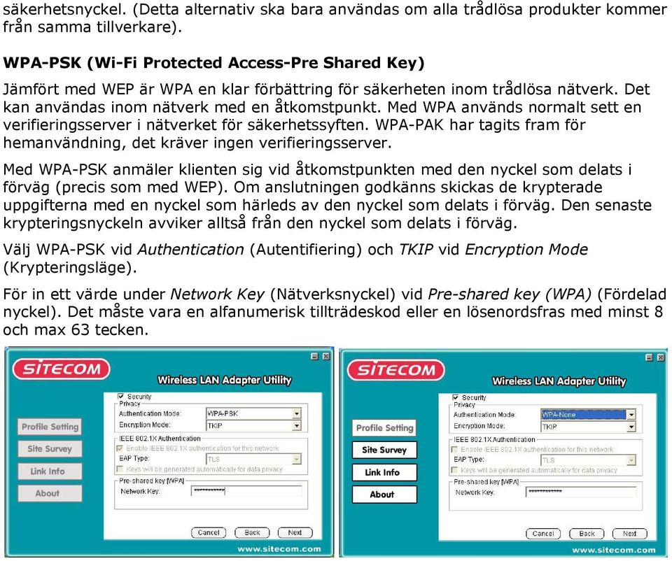 Med WPA används normalt sett en verifieringsserver i nätverket för säkerhetssyften. WPA-PAK har tagits fram för hemanvändning, det kräver ingen verifieringsserver.