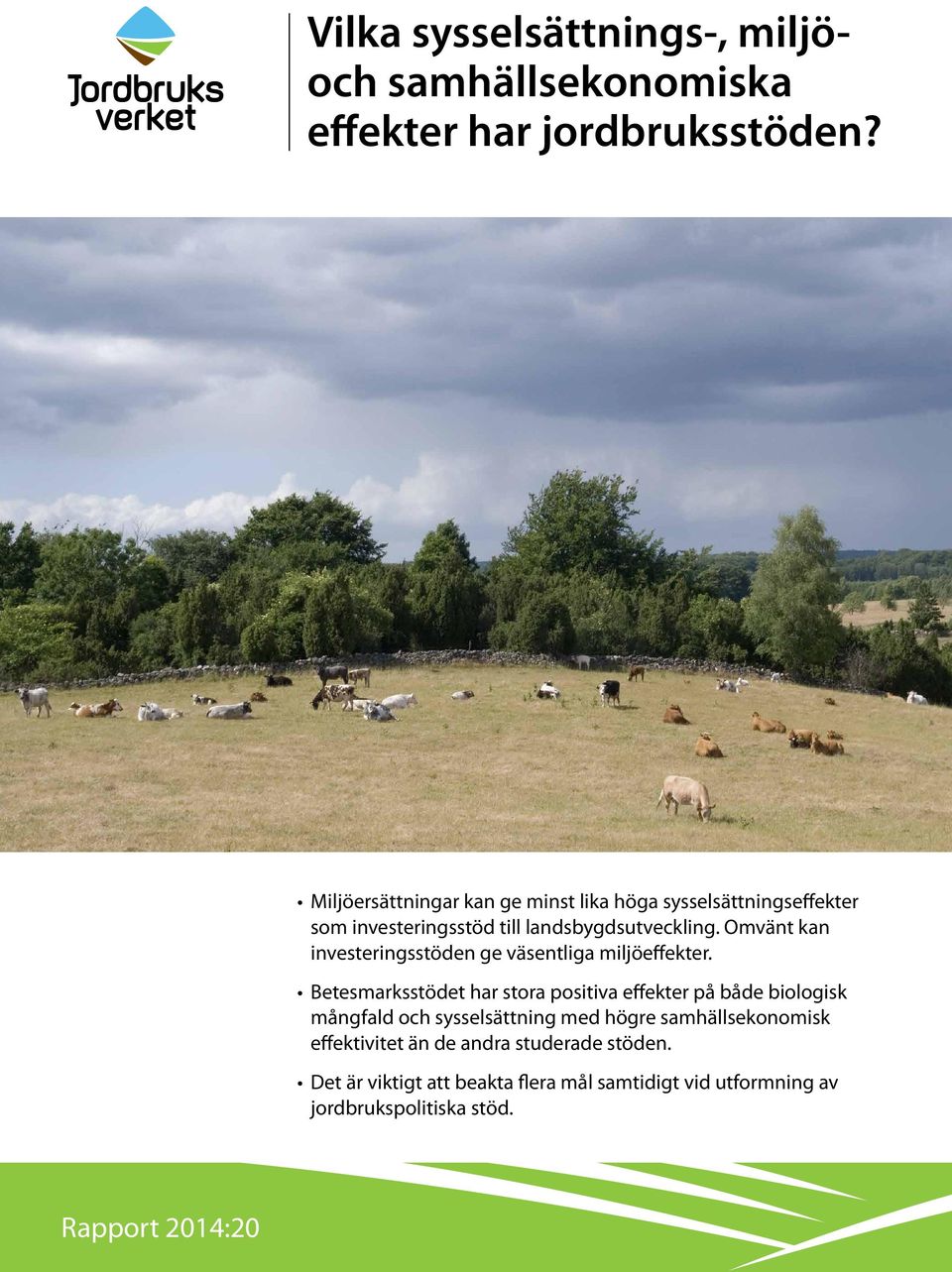 Omvänt kan investeringsstöden ge väsentliga miljöeffekter.