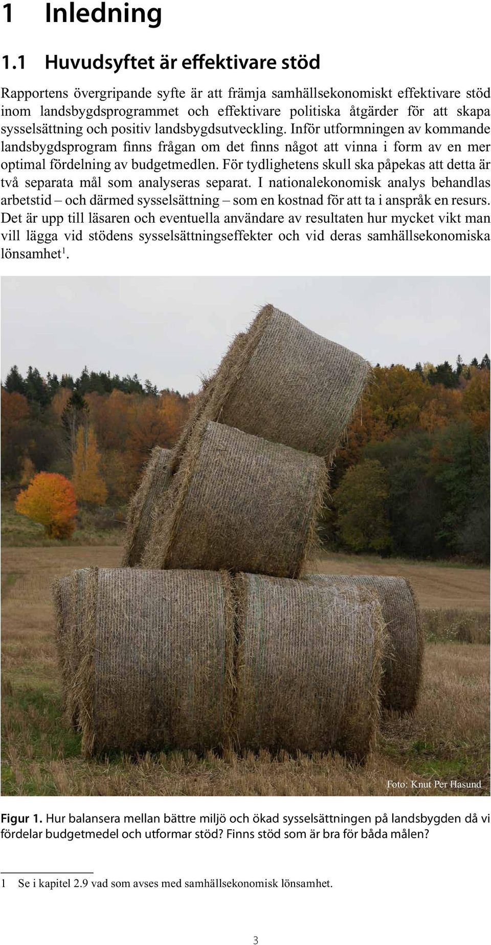 sysselsättning och positiv landsbygdsutveckling. Inför utformningen av kommande landsbygdsprogram finns frågan om det finns något att vinna i form av en mer optimal fördelning av budgetmedlen.