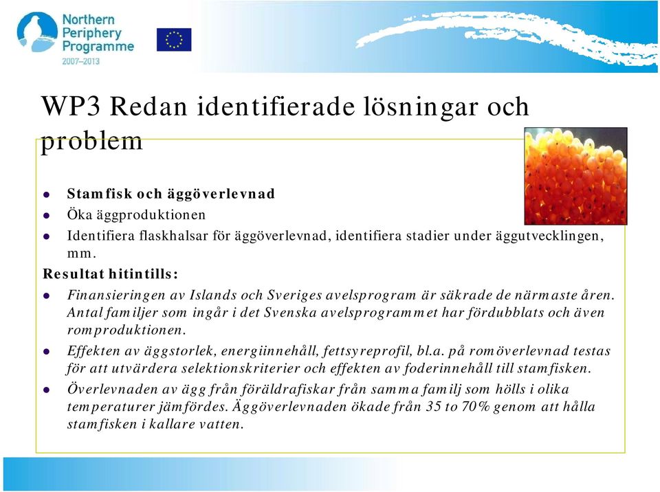 Antal familjer som ingår i det Svenska avelsprogrammet har fördubblats och även romproduktionen. Effekten av äggstorlek, energiinnehåll, fettsyreprofil, bl.a. på romöverlevnad testas för att utvärdera selektionskriterier och effekten av foderinnehåll till stamfisken.