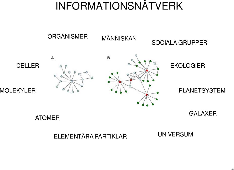EKOLOGIER MOLEKYLER PLANETSYSTEM