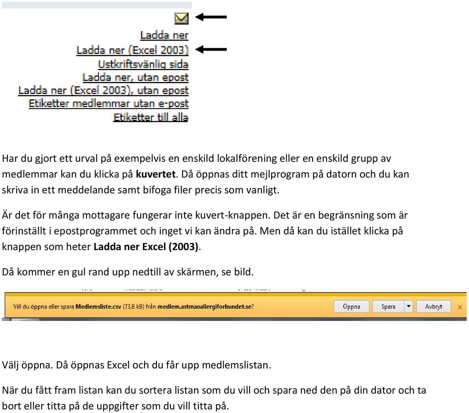 Det är en begränsning som är förinställt i epostprogrammet och inget vi kan ändra på. Men då kan du istället klicka på knappen som heter Ladda ner Excel (2003).