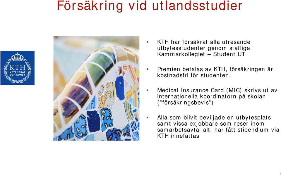 Medical Insurance Card (MIC) skrivs ut av internationella koordinatorn på skolan ( försäkringsbevis ) Alla