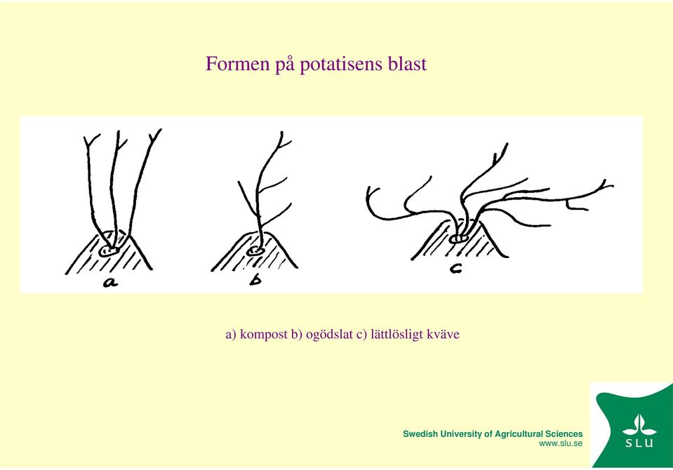 a) kompost b)