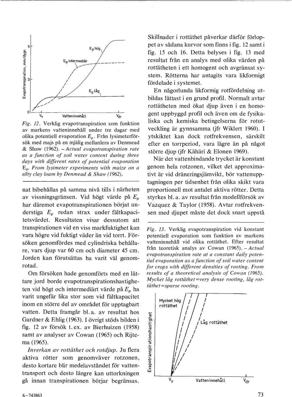 Frm ysimeter experiments with maize n a si/ty cay am by Denmead & Shaw (1962). nat bibehåas på samma nivå tis i närheten av vissningsgränsen.