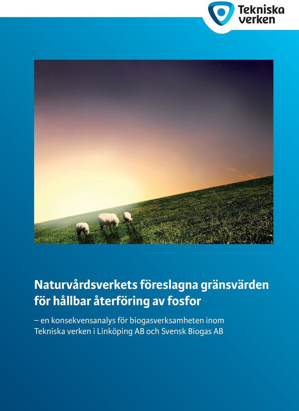 konsekvensanalys för biogasverksamheten