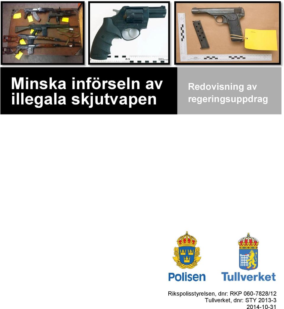 regeringsuppdrag Rikspolisstyrelsen,