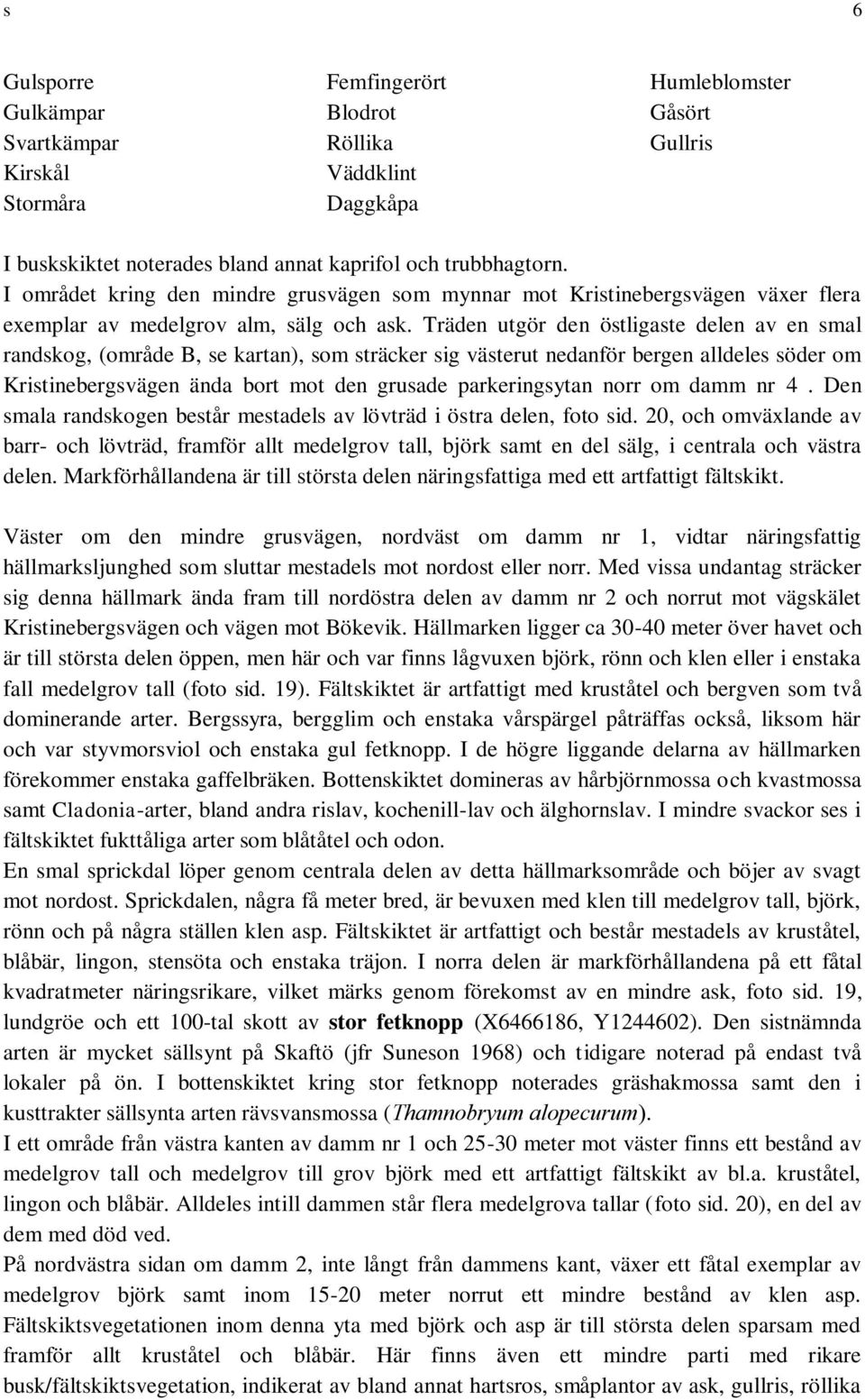 Träden utgör den östligaste delen av en smal randskog, (område B, se kartan), som sträcker sig västerut nedanför bergen alldeles söder om Kristinebergsvägen ända bort mot den grusade parkeringsytan