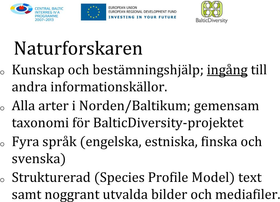 BalticDiversity-prjektet Fyra språk (engelska, estniska, finska ch