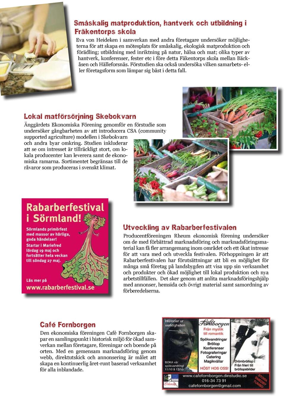 Förstudien ska också undersöka vilken samarbets- eller företagsform som lämpar sig bäst i detta fall.