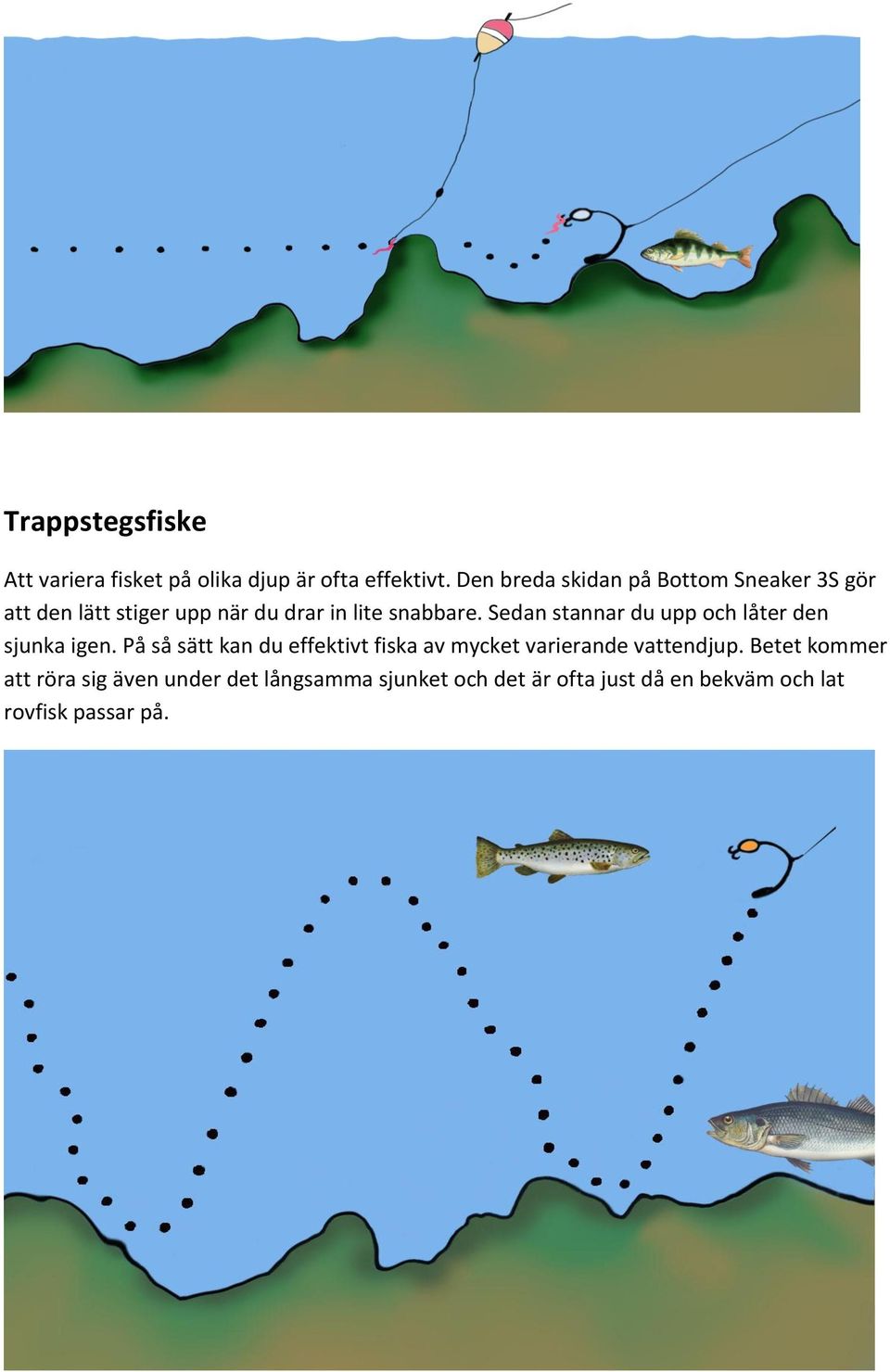 Sedan stannar du upp och låter den sjunka igen.