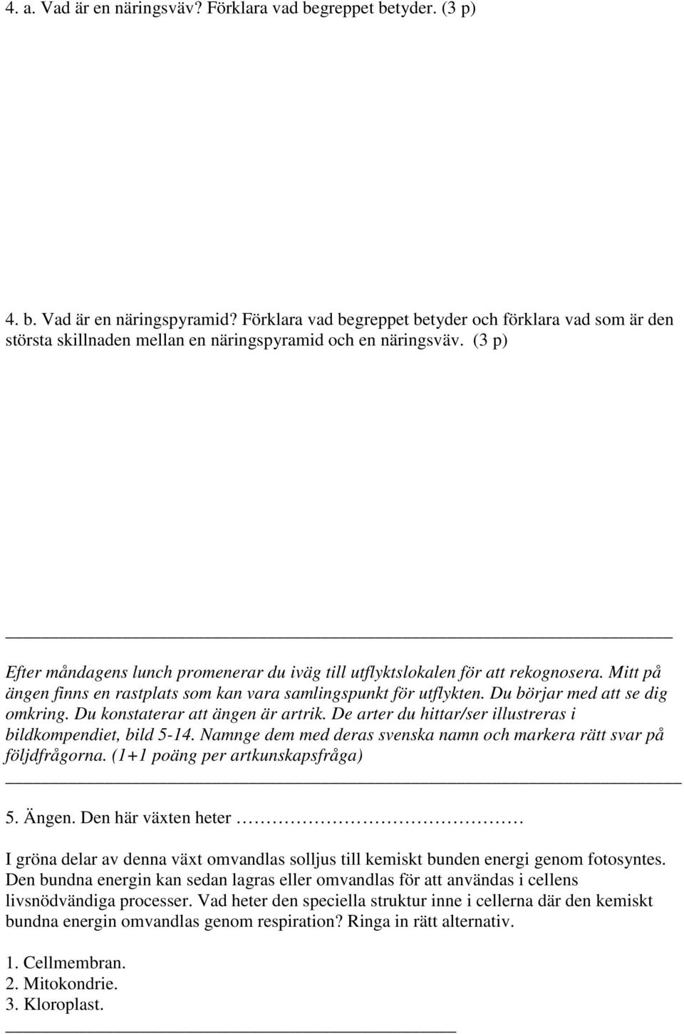 (3 p) Efter måndagens lunch promenerar du iväg till utflyktslokalen för att rekognosera. Mitt på ängen finns en rastplats som kan vara samlingspunkt för utflykten. Du börjar med att se dig omkring.