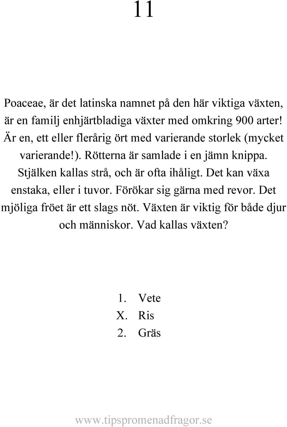 Rötterna är samlade i en jämn knippa. Stjälken kallas strå, och är ofta ihåligt. Det kan växa enstaka, eller i tuvor.