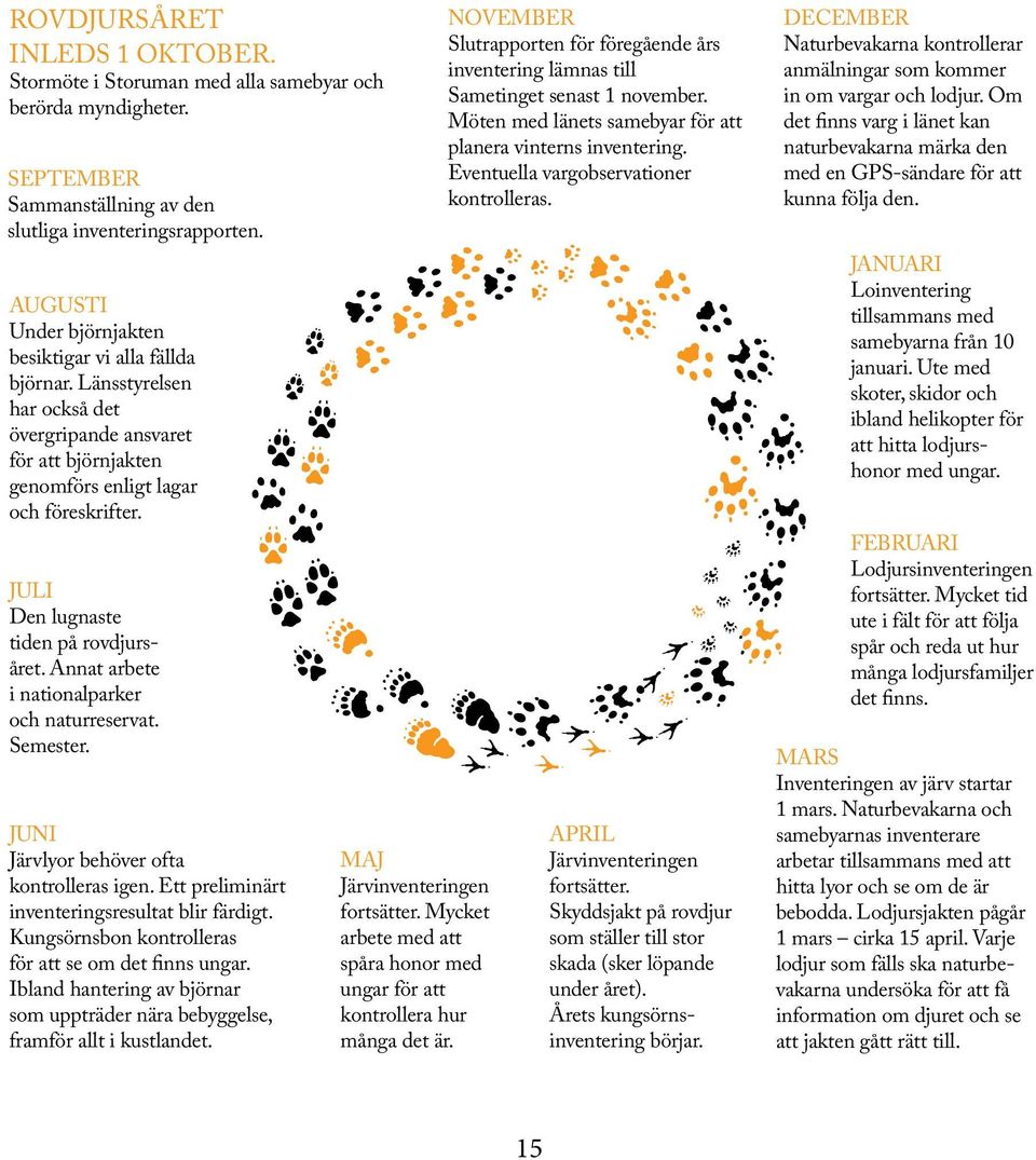 JULI Den lugnaste tiden på rovdjursåret. Annat arbete i nationalparker och naturreservat. Semester. JUNI Järvlyor behöver ofta kontrolleras igen. Ett preliminärt inventeringsresultat blir färdigt.