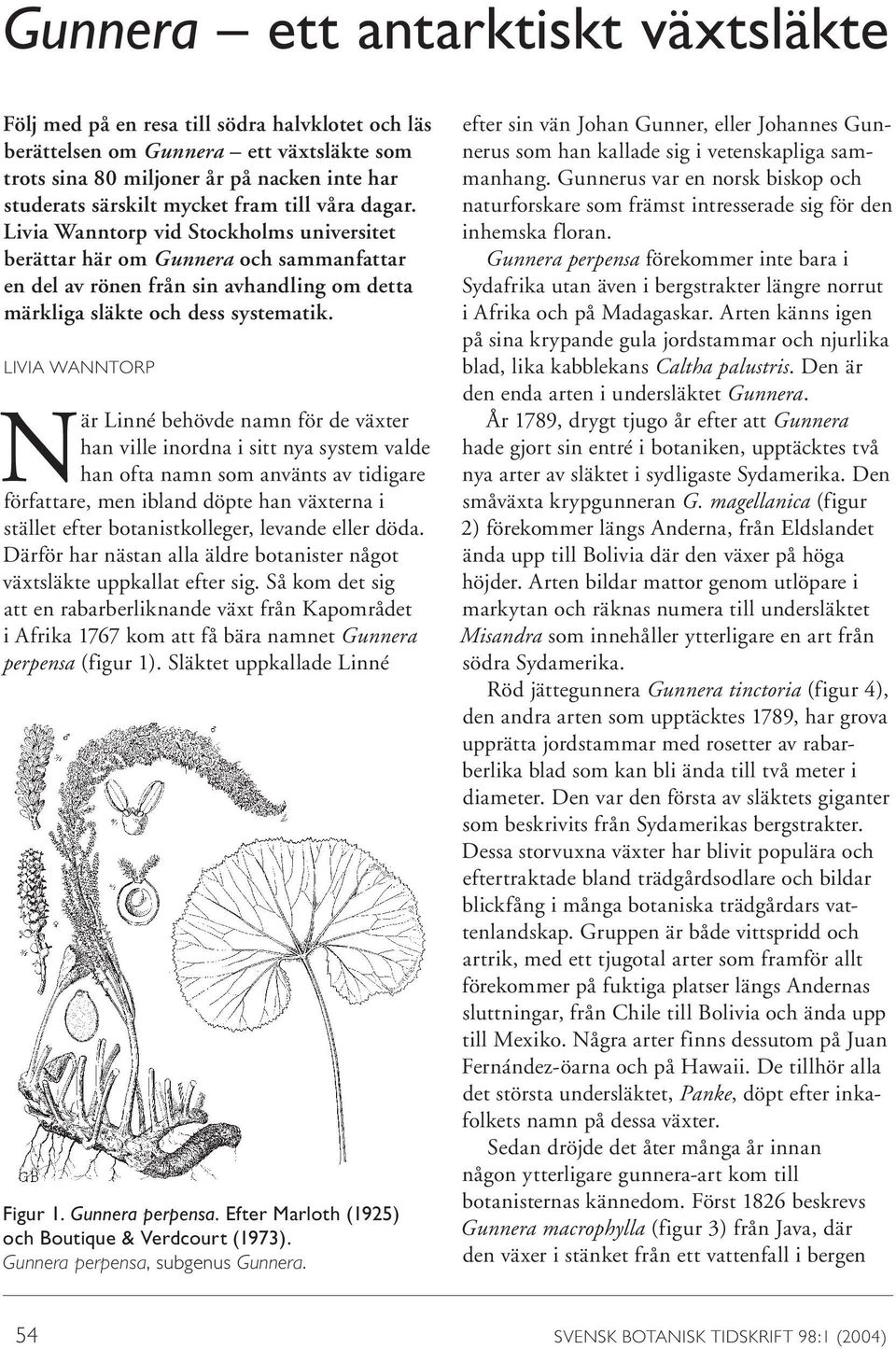 LIVIA WANNTORP När Linné behövde namn för de växter han ville inordna i sitt nya system valde han ofta namn som använts av tidigare författare, men ibland döpte han växterna i stället efter