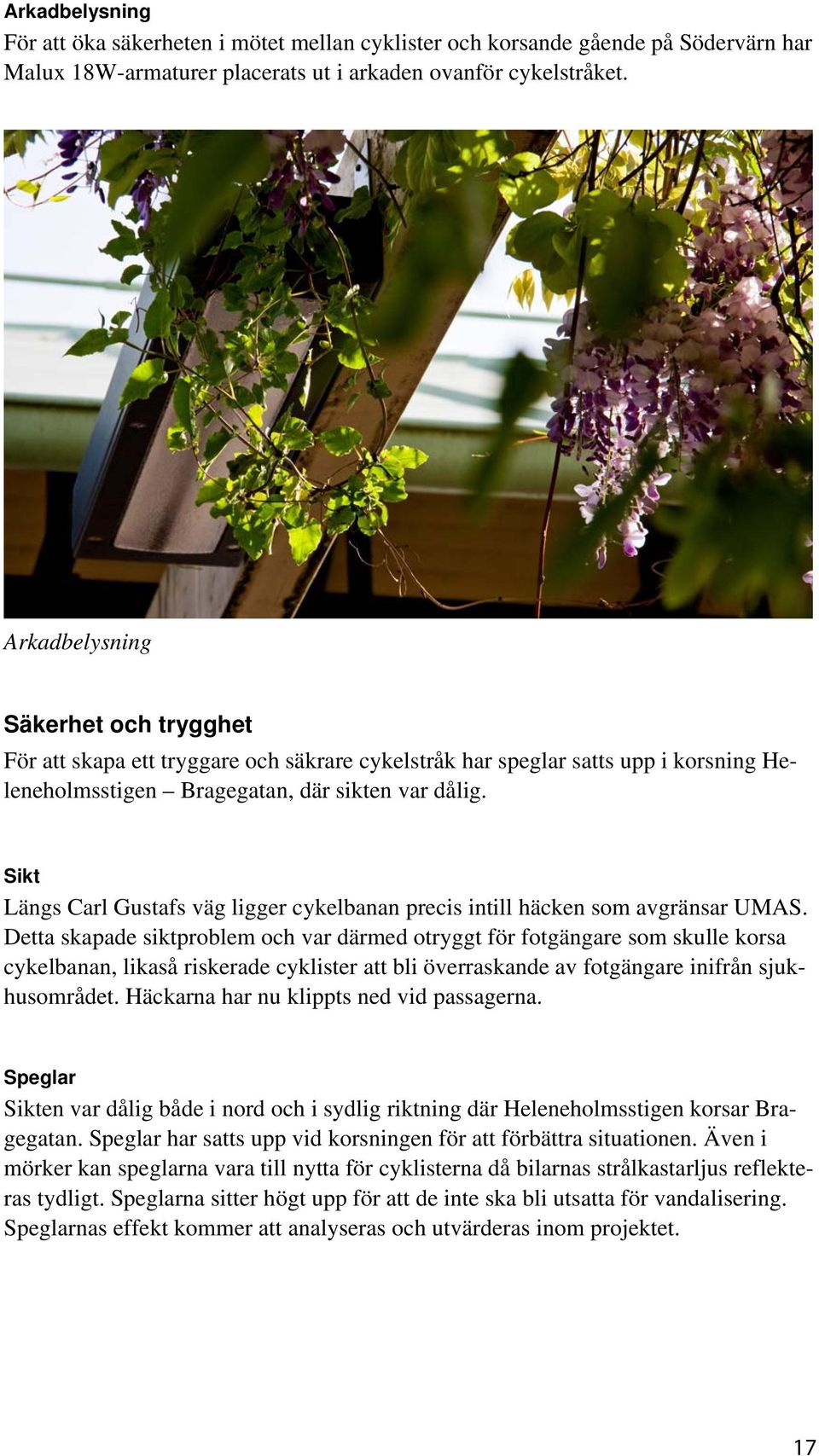 Sikt Längs Carl Gustafs väg ligger cykelbanan precis intill häcken som avgränsar UMAS.