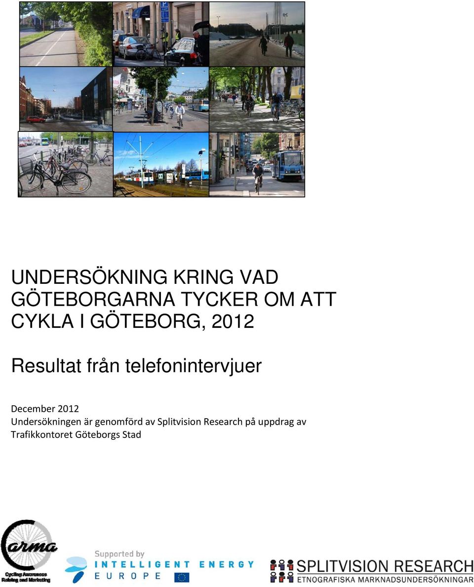 telefonintervjuer December 2012 Undersökningen är