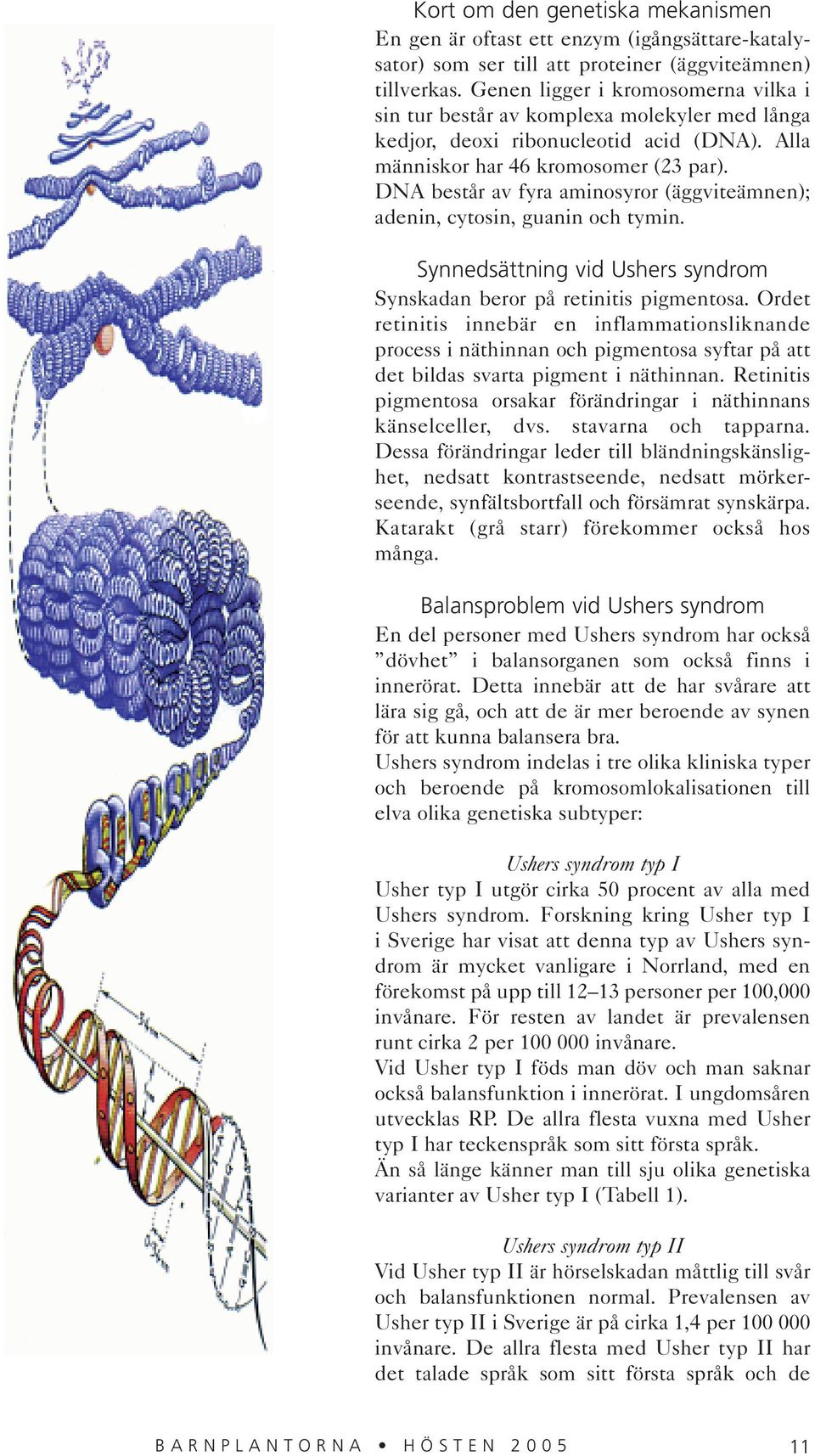 DNA består av fyra aminosyror (äggviteämnen); adenin, cytosin, guanin och tymin. Synnedsättning vid Ushers syndrom Synskadan beror på retinitis pigmentosa.