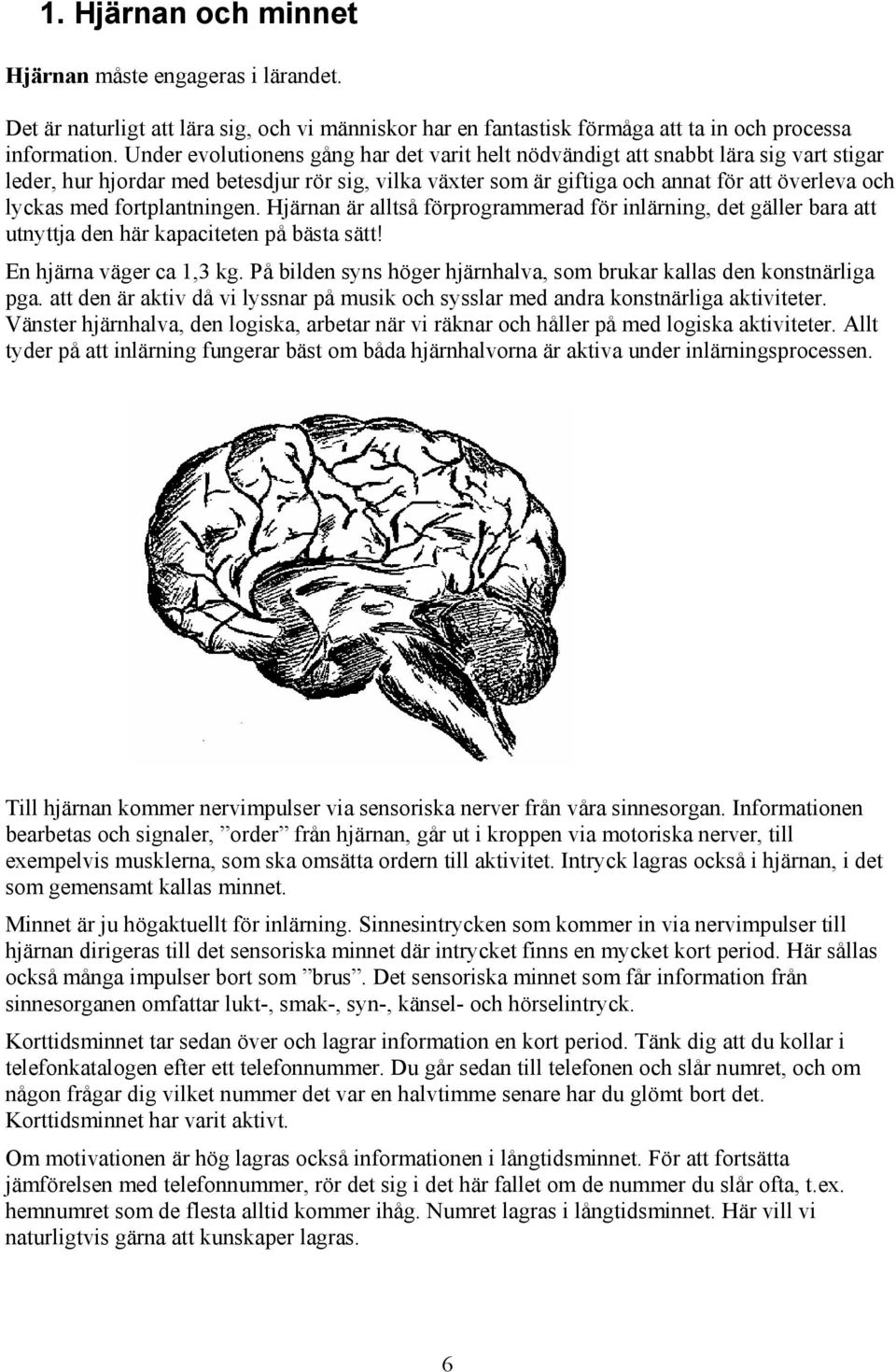 fortplantningen. Hjärnan är alltså förprogrammerad för inlärning, det gäller bara att utnyttja den här kapaciteten på bästa sätt! En hjärna väger ca 1,3 kg.