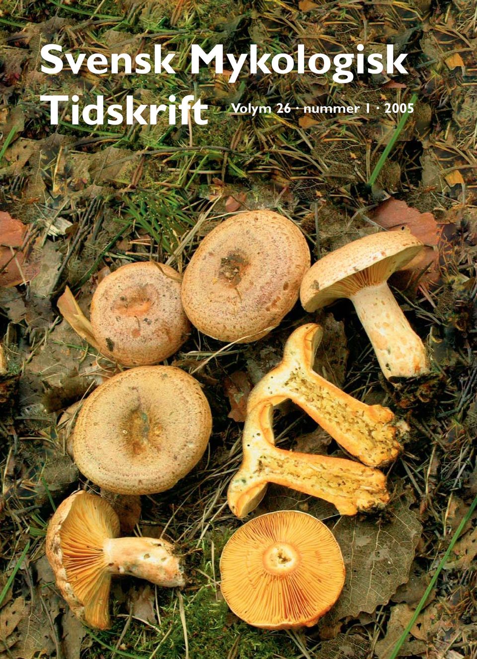 Tidskrift