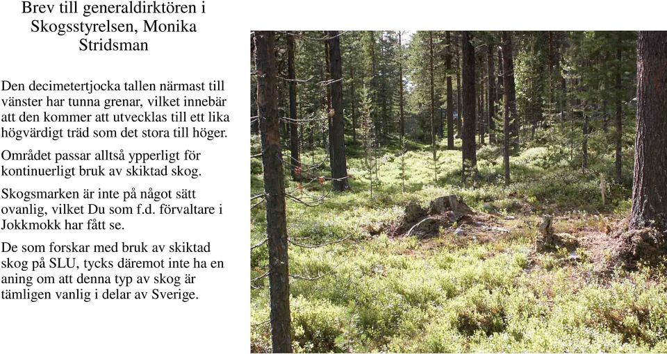 Området passar alltså ypperligt för kontinuerligt bruk av skiktad skog. Skogsmarken är inte på något sätt ovanlig, vilket Du som f.d. förvaltare i Jokkmokk har fått se.
