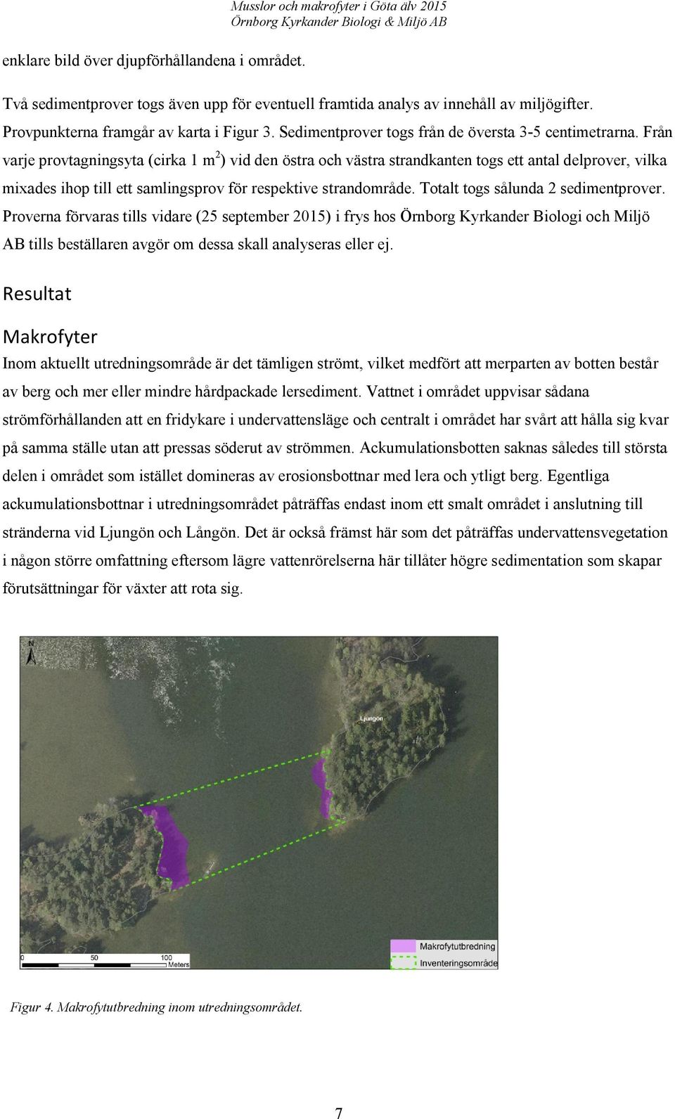 Från varje provtagningsyta (cirka 1 m 2 ) vid den östra och västra strandkanten togs ett antal delprover, vilka mixades ihop till ett samlingsprov för respektive strandområde.