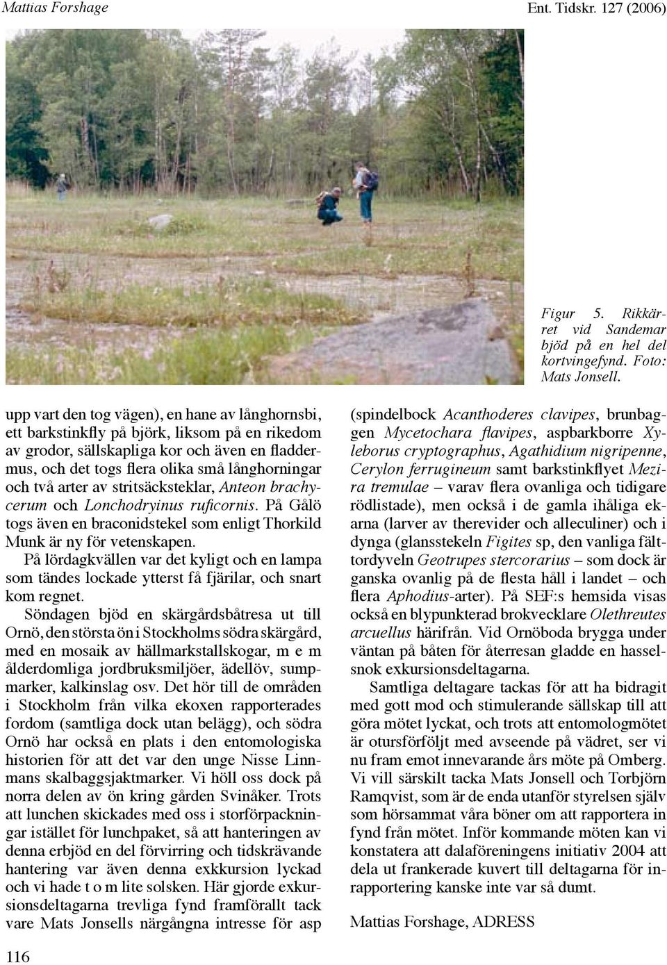 arter av stritsäcksteklar, Anteon brachycerum och Lonchodryinus ruficornis. På Gålö togs även en braconidstekel som enligt Thorkild Munk är ny för vetenskapen.