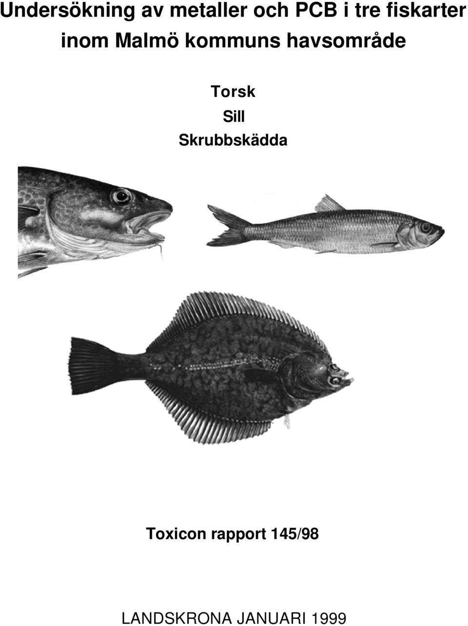 havsområde Torsk Sill Skrubbskädda