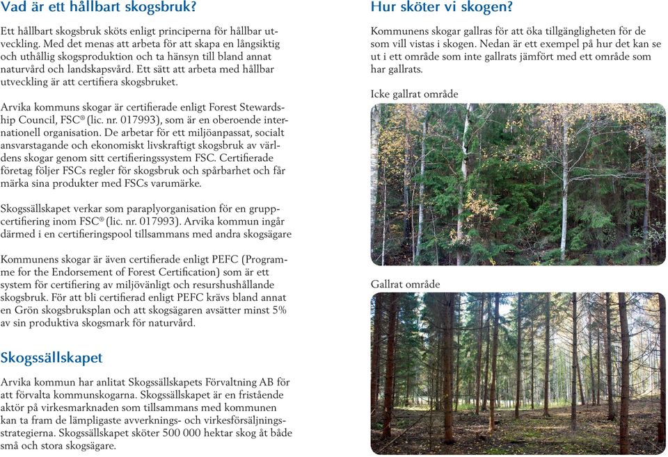 Ett sätt att arbeta med hållbar utveckling är att certifiera skogsbruket. Kommunens skogar gallras för att öka tillgängligheten för de som vill vistas i skogen.