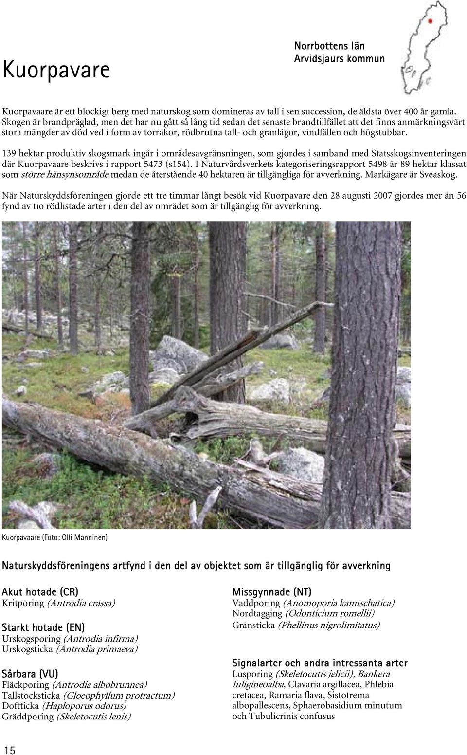 vindfällen och högstubbar. 139 hektar produktiv skogsmark ingår i områdesavgränsningen, som gjordes i samband med Statsskogsinventeringen där Kuorpavaare beskrivs i rapport 5473 (s154).