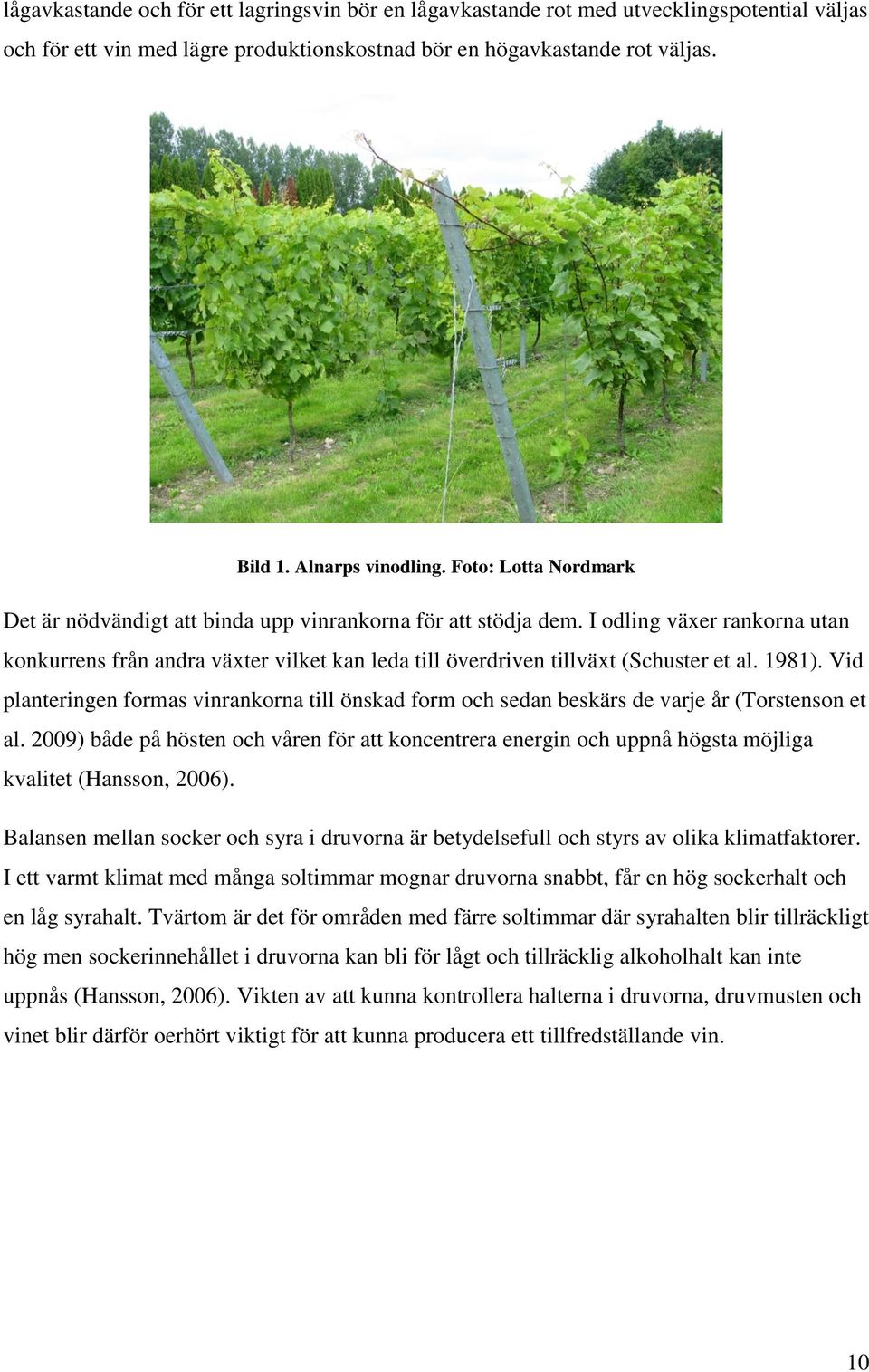 1981). Vid planteringen formas vinrankorna till önskad form och sedan beskärs de varje år (Torstenson et al.