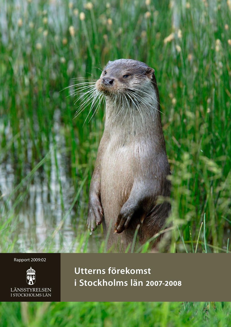 Utterns