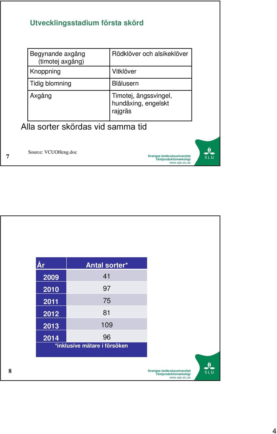 hundäxing, engelskt rajgräs Alla sorter skördas vid samma tid 7 Source: VCUOHeng.