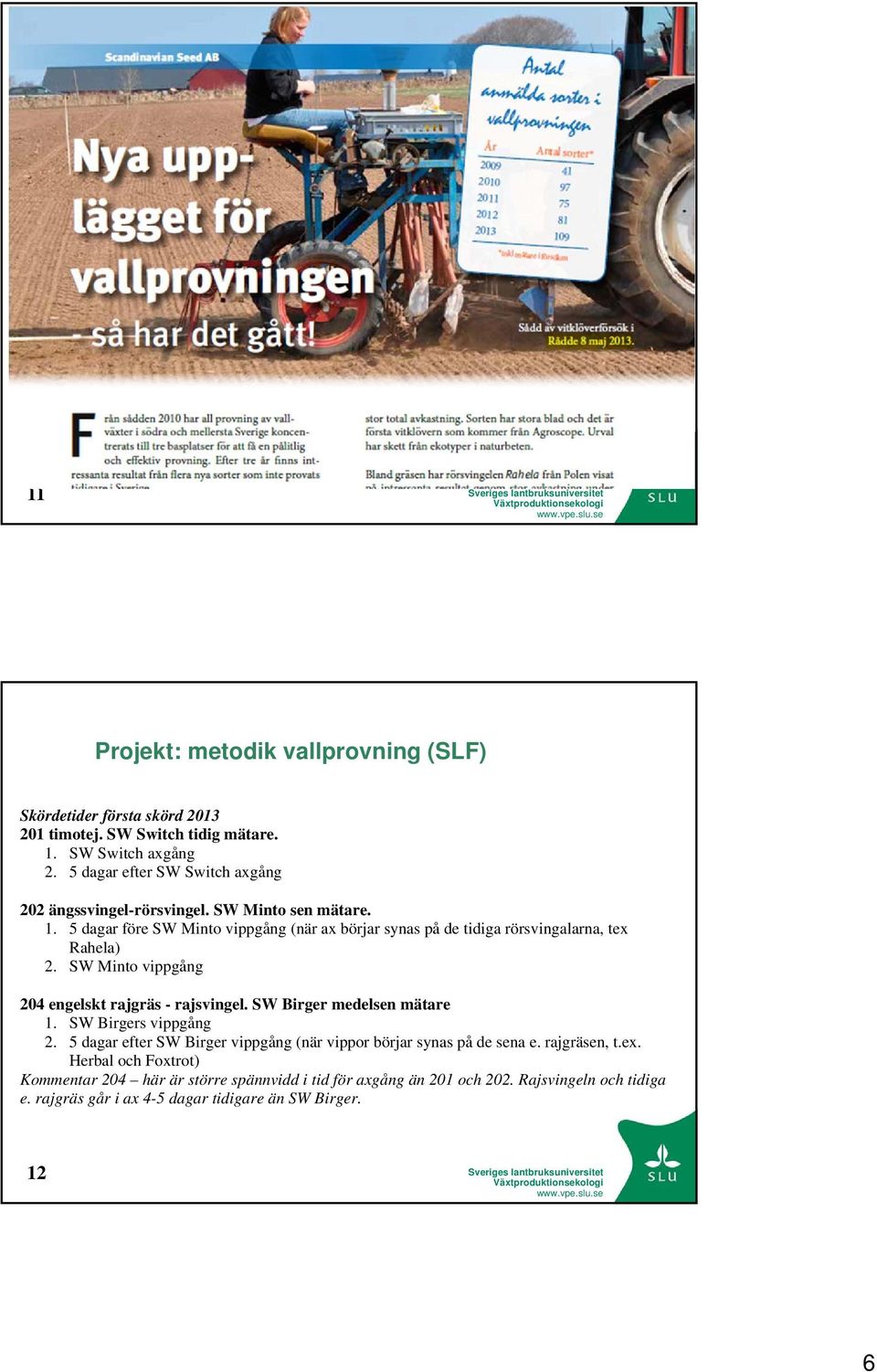 5 dagar före SW Minto vippgång (när ax börjar synas på de tidiga rörsvingalarna, tex Rahela) 2. SW Minto vippgång 204 engelskt rajgräs - rajsvingel.