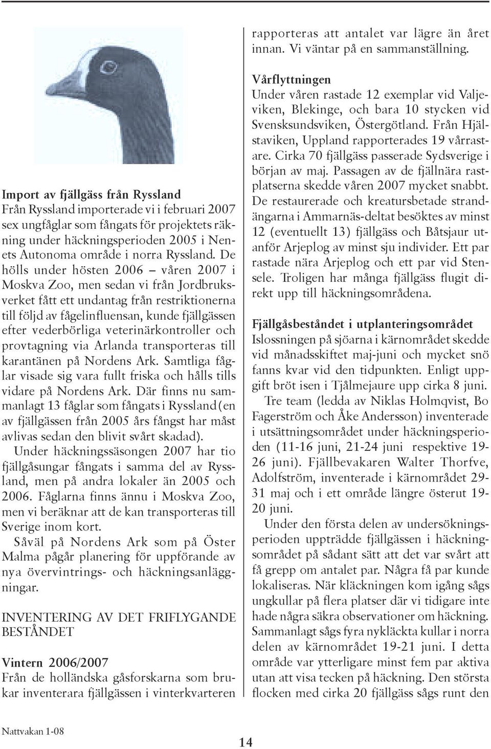 De hölls under hösten 2006 våren 2007 i Moskva Zoo, men sedan vi från Jordbruksverket fått ett undantag från restriktionerna till följd av fågelinfluensan, kunde fjällgässen efter vederbörliga