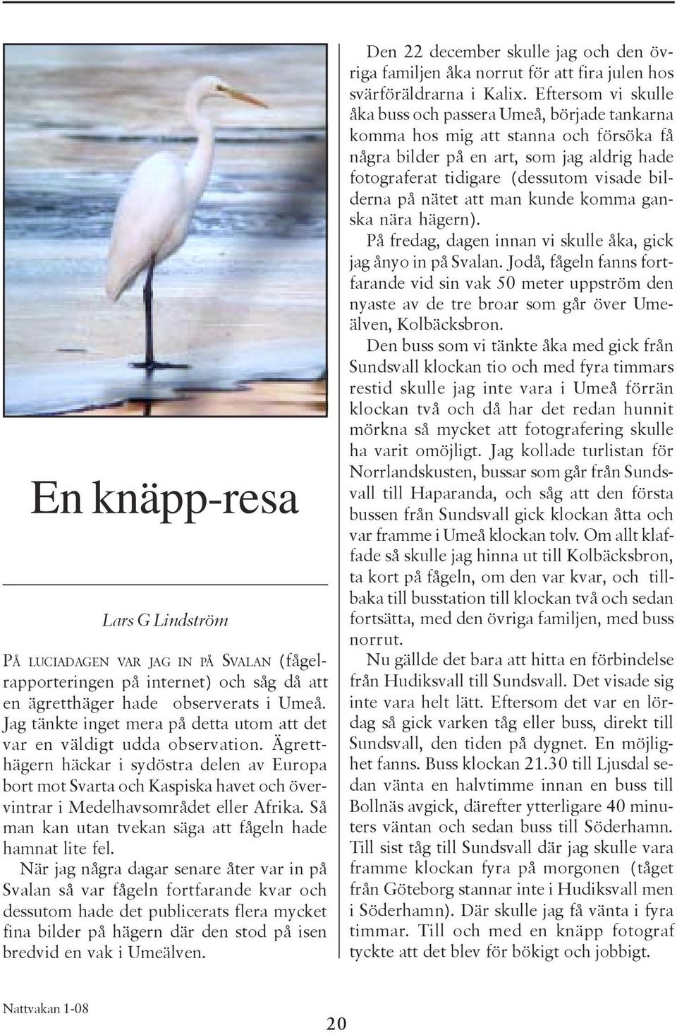 Ägretthägern häckar i sydöstra delen av Europa bort mot Svarta och Kaspiska havet och övervintrar i Medelhavsområdet eller Afrika. Så man kan utan tvekan säga att fågeln hade hamnat lite fel.