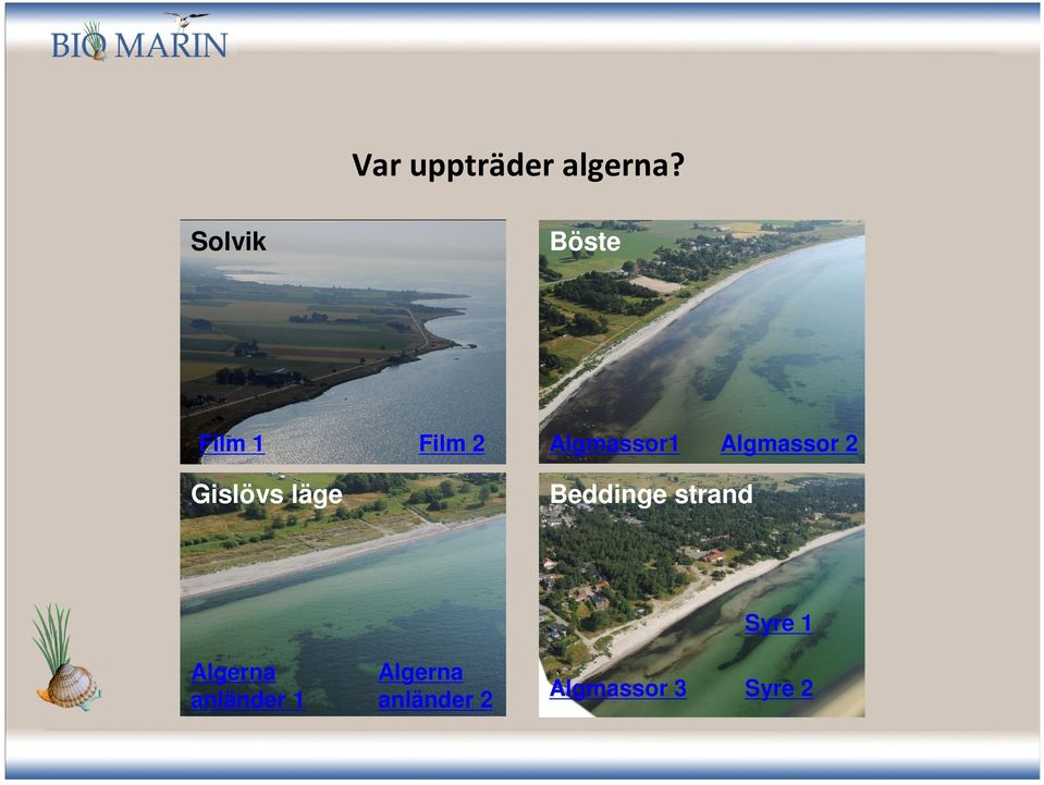Algmassor1 Algmassor 2 Beddinge strand