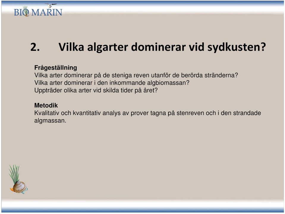 stränderna? Vilka arter dominerar i den inkommande algbiomassan?