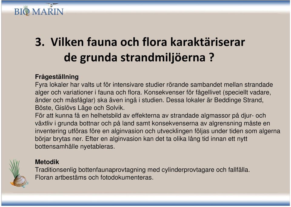 Konsekvenser för fågellivet (speciellt vadare, änder och måsfåglar) ska även ingå i studien. Dessa lokaler är Beddinge Strand, Böste, Gislövs Läge och Solvik.