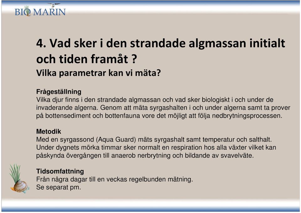 Genom att mäta syrgashalten i och under algerna samt ta prover på bottensediment och bottenfauna vore det möjligt att följa nedbrytningsprocessen.