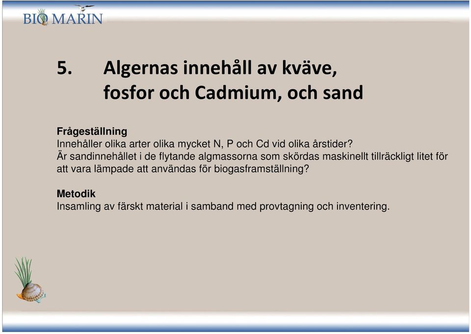 Är sandinnehållet i de flytande algmassorna som skördas maskinellt tillräckligt litet för
