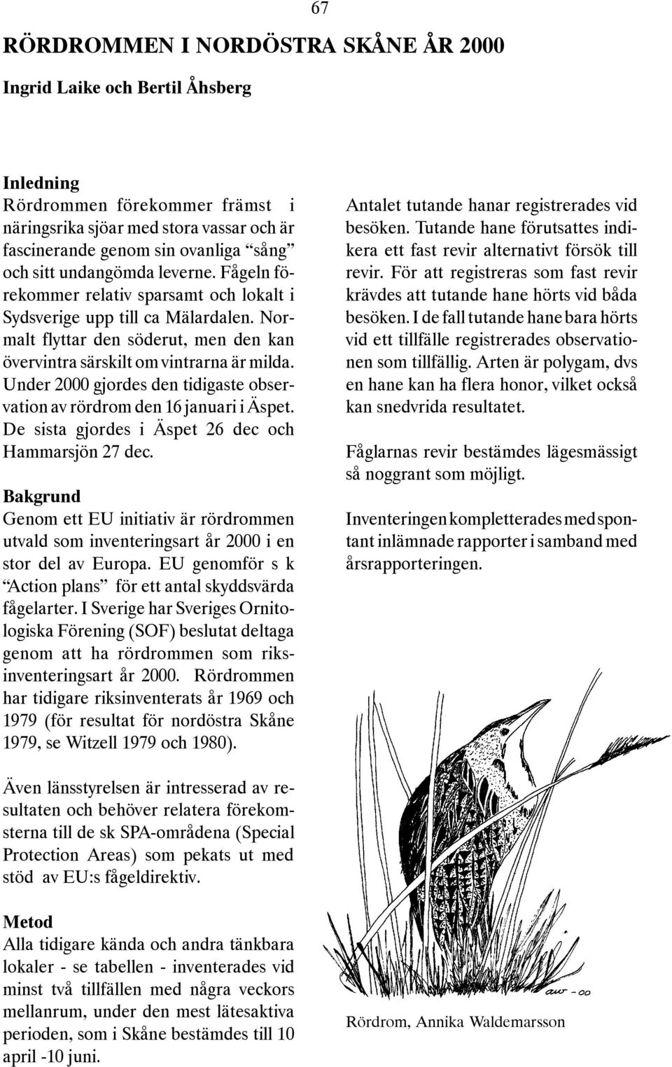 Under 2000 gjordes den tidigaste observation av rördrom den 16 januari i Äspet. De sista gjordes i Äspet 26 dec och Hammarsjön 27 dec.