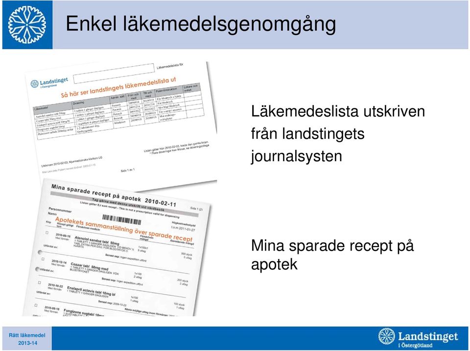 landstingets journalsysten Mina