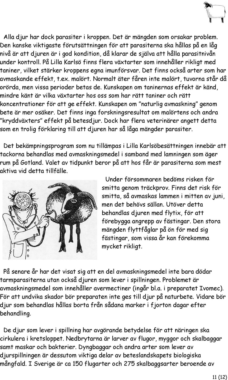 På Lilla Karlsö finns flera växtarter som innehåller rikligt med taniner, vilket stärker kroppens egna imunförsvar. Det finns också arter som har avmaskande effekt, t.ex. malört.