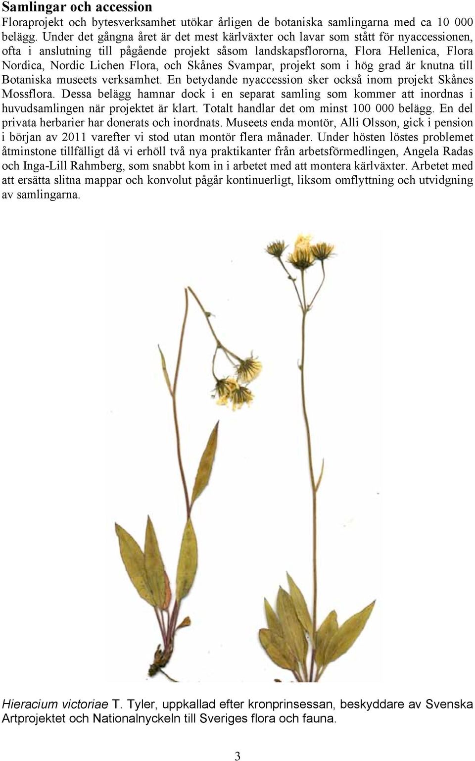 Flora, och Skånes Svampar, projekt som i hög grad är knutna till Botaniska museets verksamhet. En betydande nyaccession sker också inom projekt Skånes Mossflora.
