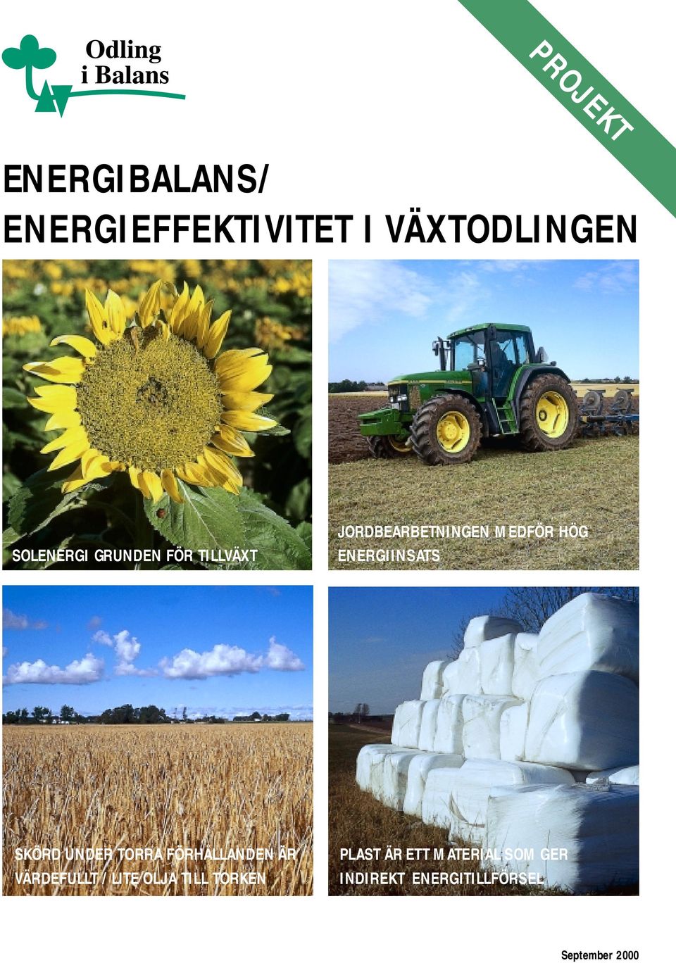 SKÖRD UNDER TORRA FÖRHÅLLANDEN ÄR VÄRDEFULLT / LITE OLJA TILL