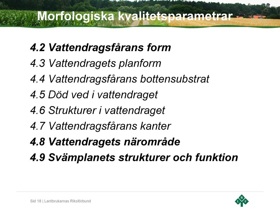 5 Död ved i vattendraget 4.6 Strukturer i vattendraget 4.